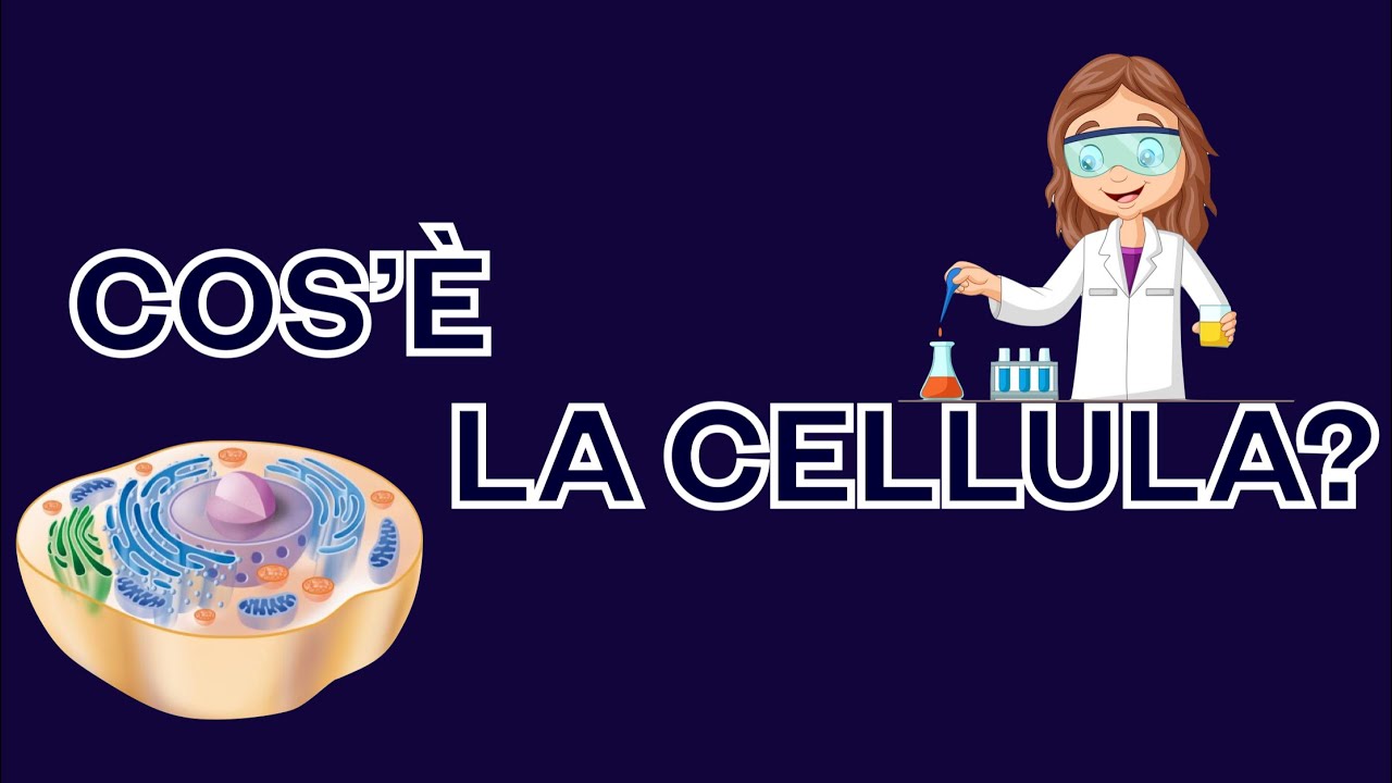Cos’è la cellula? Organismi unicellulari e pluricellulari - la cellula più grande