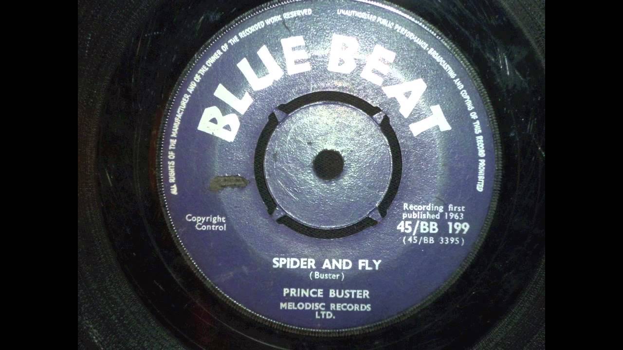 Spider And Fly 