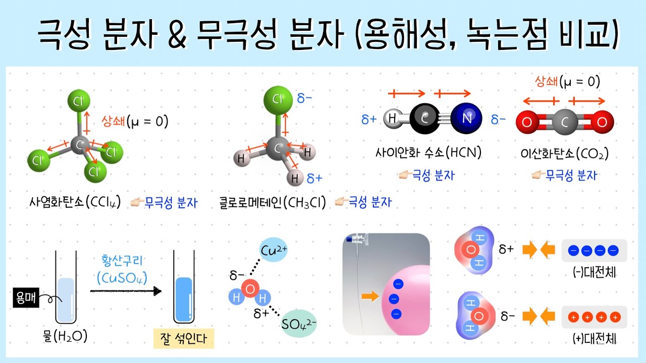 [화학 2단원] 5강. 극성 분자 & 무극성 분자┃극성 분자의 성질🧐