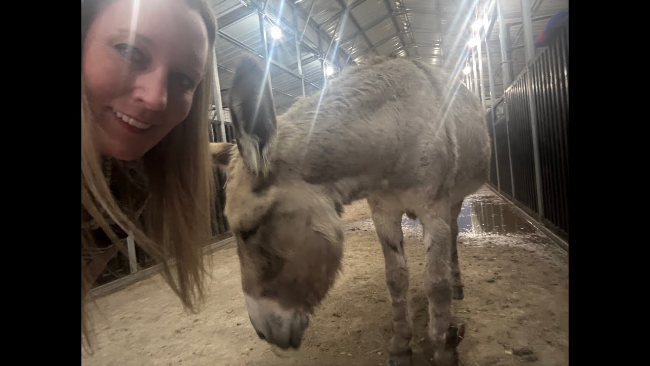 Timeout Tuesday In the Barn