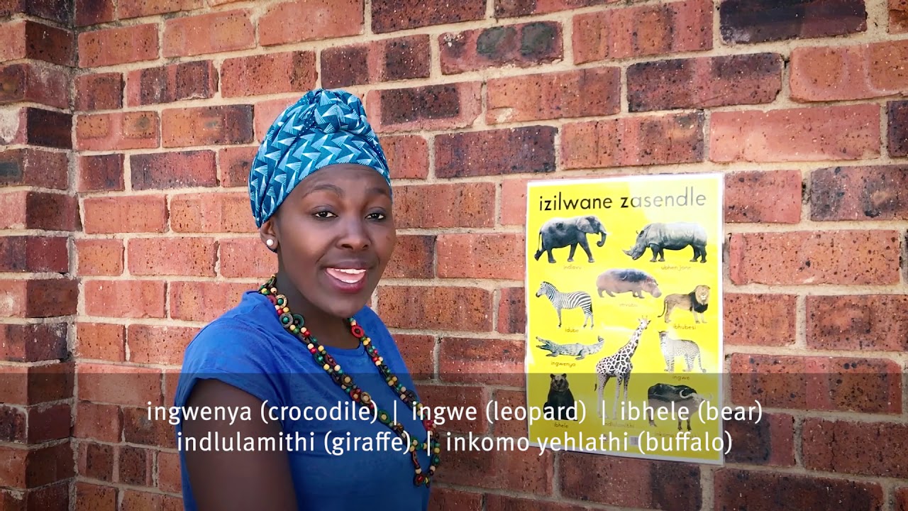 Preschool Series 04: Wild Animals