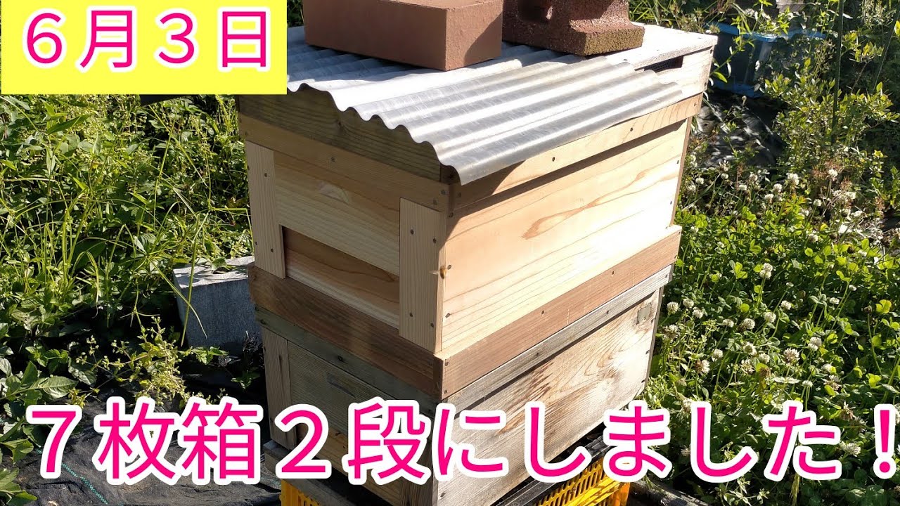 7枚箱を継箱して、ようやく2段にしました！