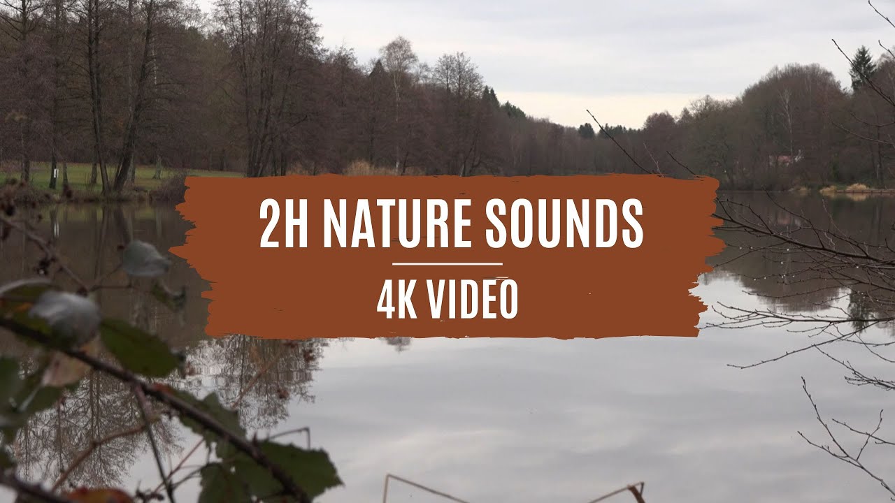 2H Nature Sounds - Br&uuml;ckweiher, Germany | 4K