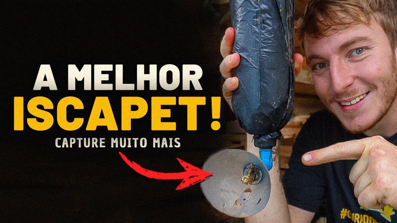 Essa é a ISCA PET que mais CAPTURA ABELHAS sem ferrão!