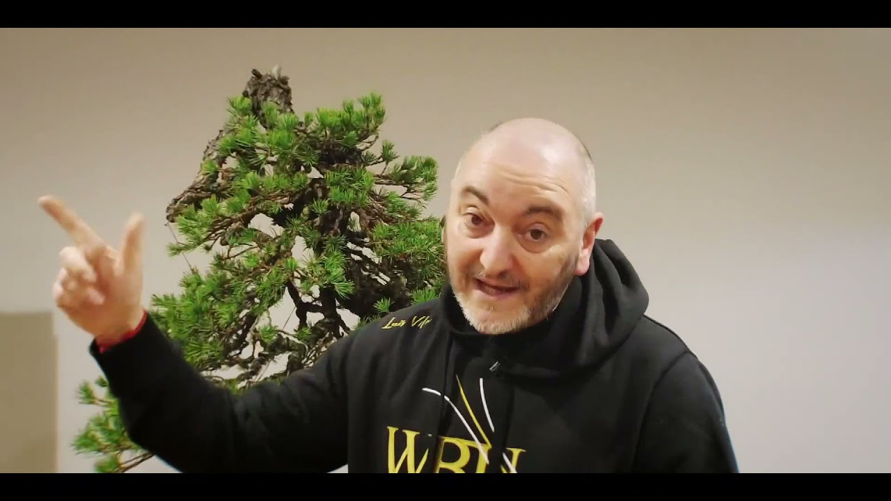 Luis Vila e @timbonsai  mostram o Bonsai da Espanha