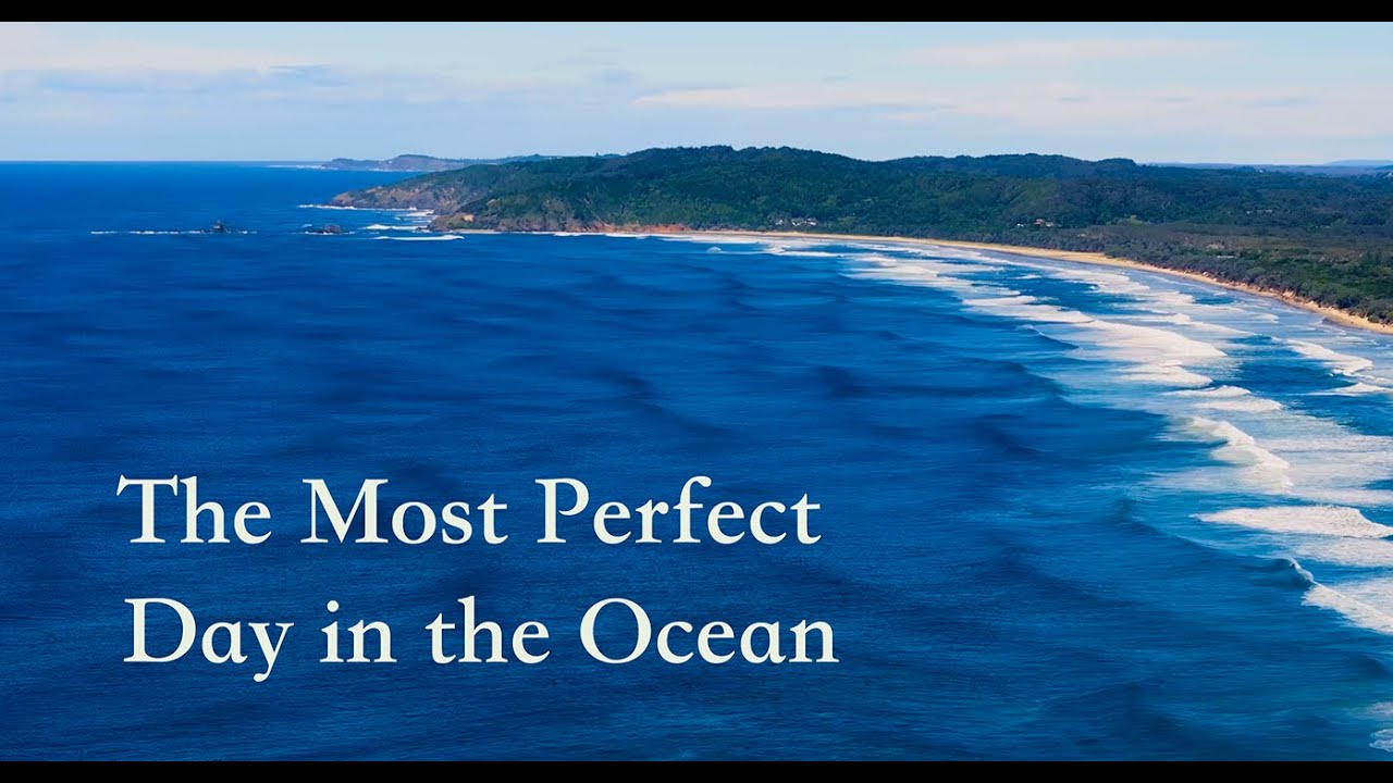 The Most Perfect Day in the Ocean 🌊