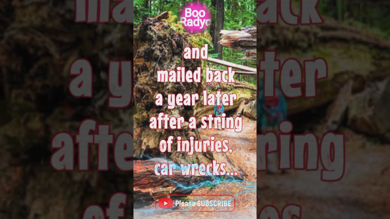 A Redwood Root That Brings Death? Northern California’s Forest Curse