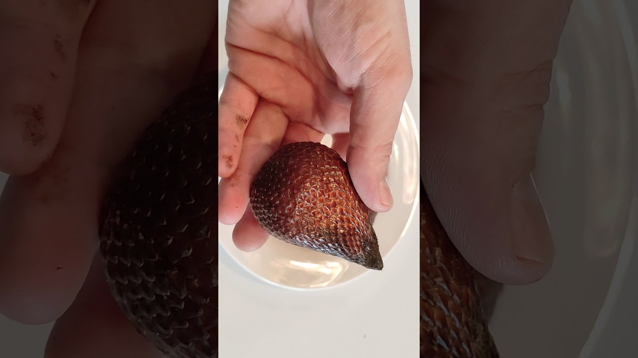 Salak - wężowy owoc palmy arecaceae, jak wygląda, smakuje jak wyglądają nasiona.