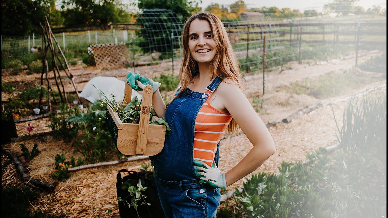 Garden Tour & First Harvest! | Week 2