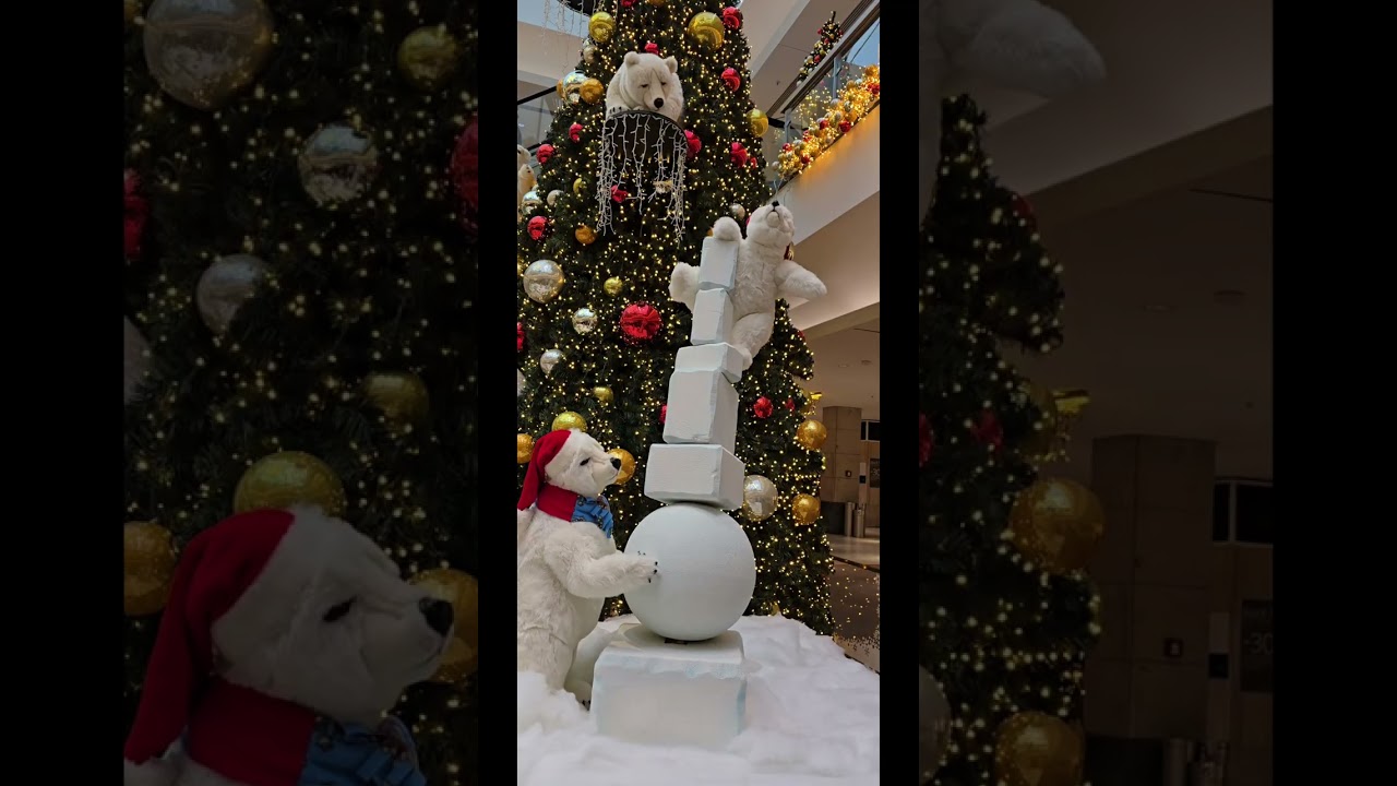 Amazing Christmas Decorations 2025   in  City  Gallery 