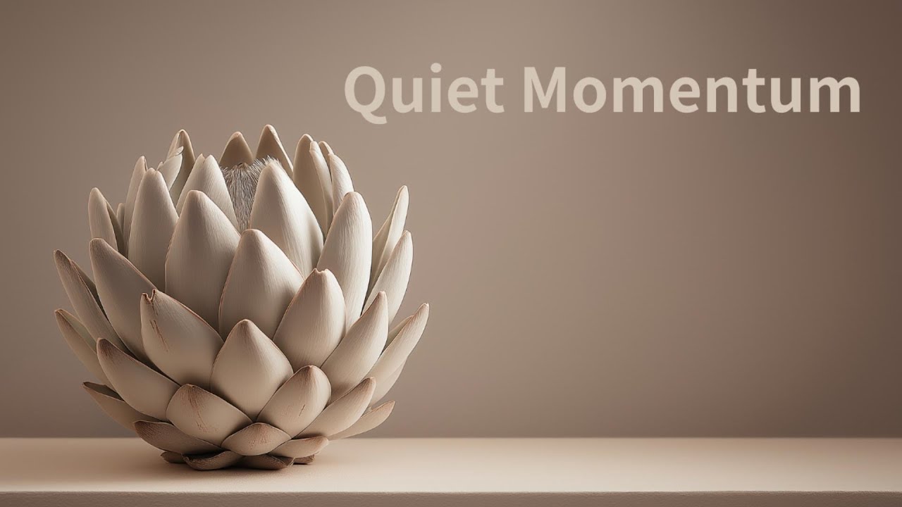 Quiet Momentum 🌙 Чилл-хаус для учёбы, работы и концентрации