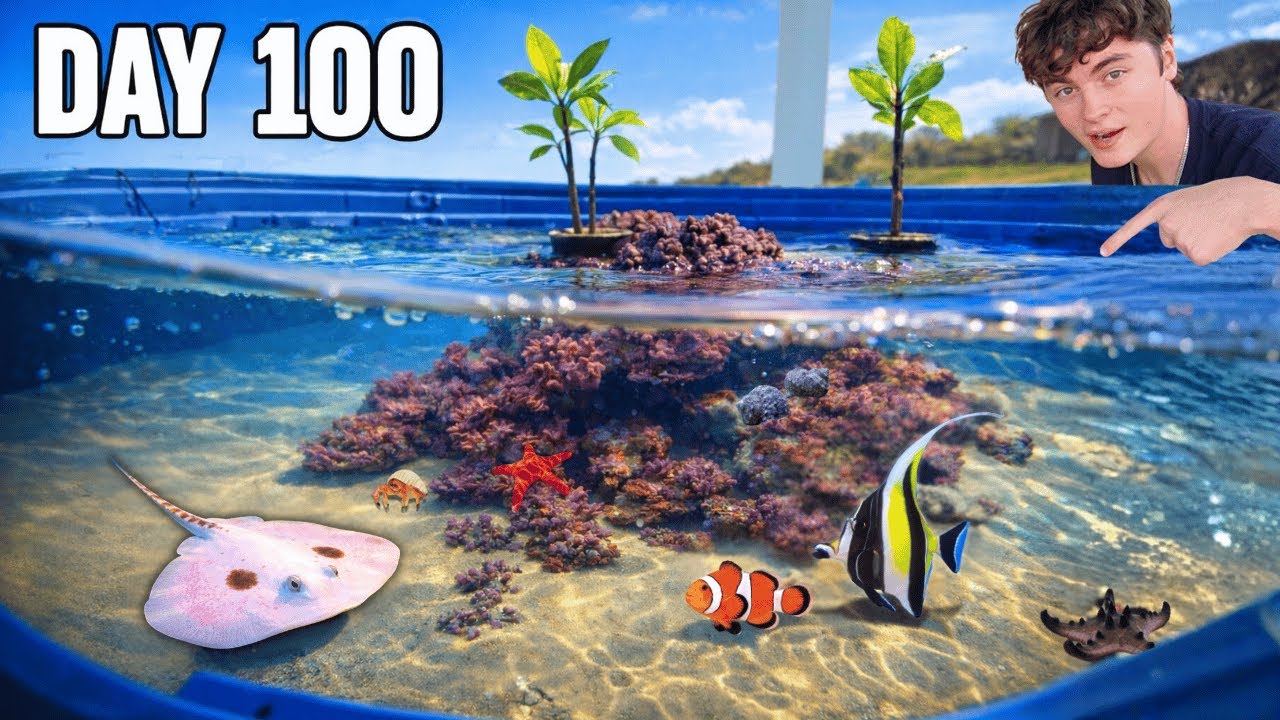 I Built a Tide Pool for Sea Creatures in 100 days!!