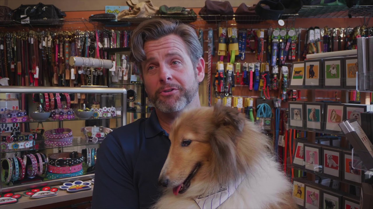 Anastasia's Edward Staudenmayer takes his dog on the road to Denver