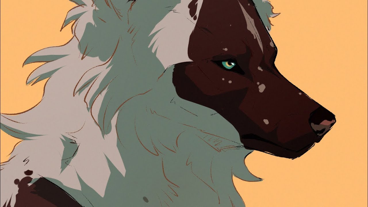 African Wild Dog/ Wolf Hybrid - Speedpaint