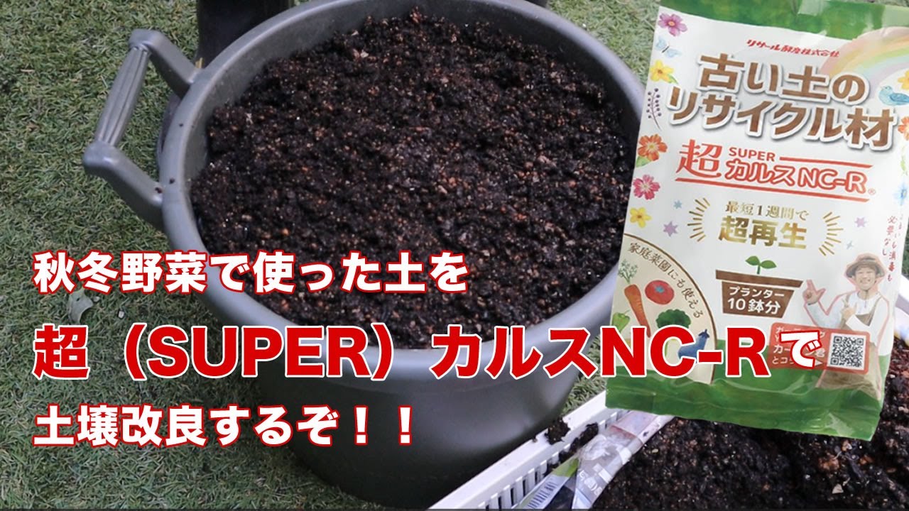 【土をリサイクル】秋冬野菜で使った土を超（SUPER）カルスNC-Rで土壌改良するぞ！！
