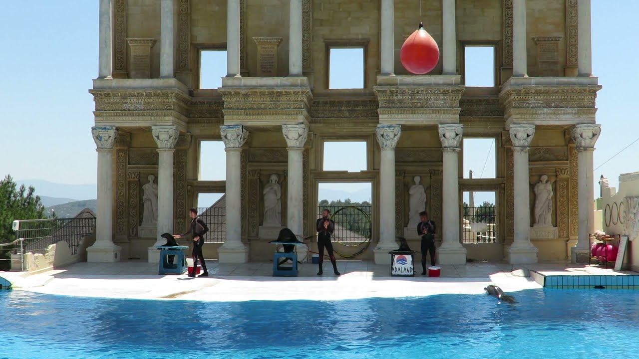 Adaland Dolphinpark, Dolphins show, 30.6.2022, Kusadasi Turkey