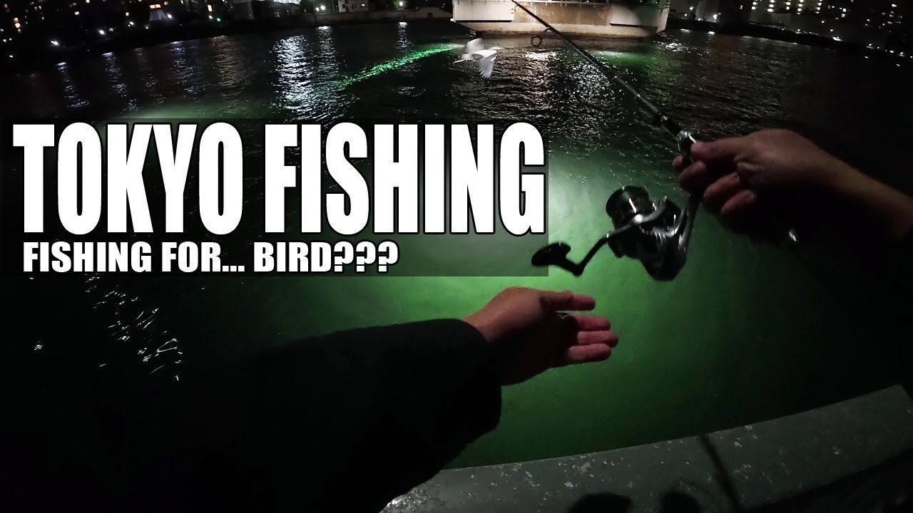 Fishing in Tokyo: I Caught A... Bird???