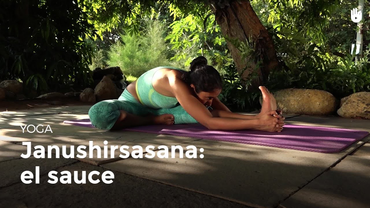 Janushirsasana: el sauce | Yoga