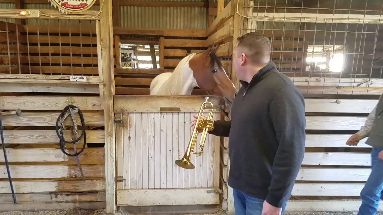 Scott Dean Trumpet Horse Whinny