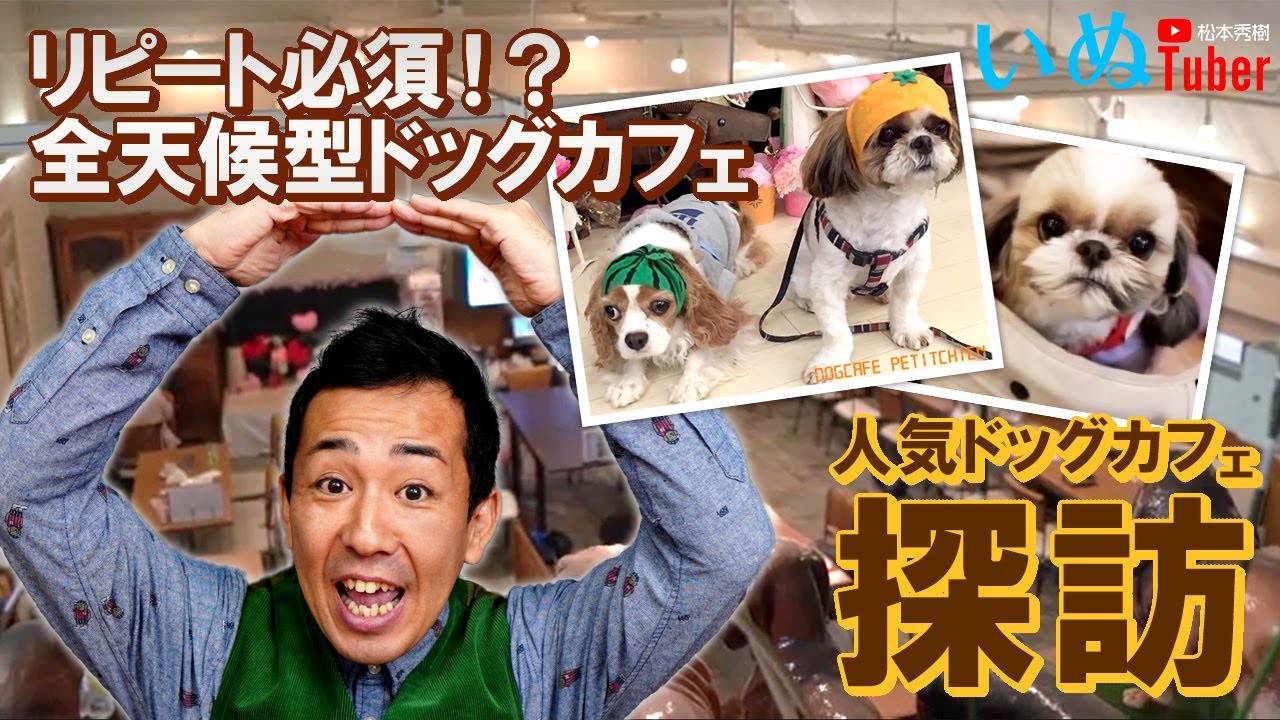 松本秀樹が人気ドッグカフェ探訪！リピート必須！？全天候型ドッグカフェ「プティシアン」