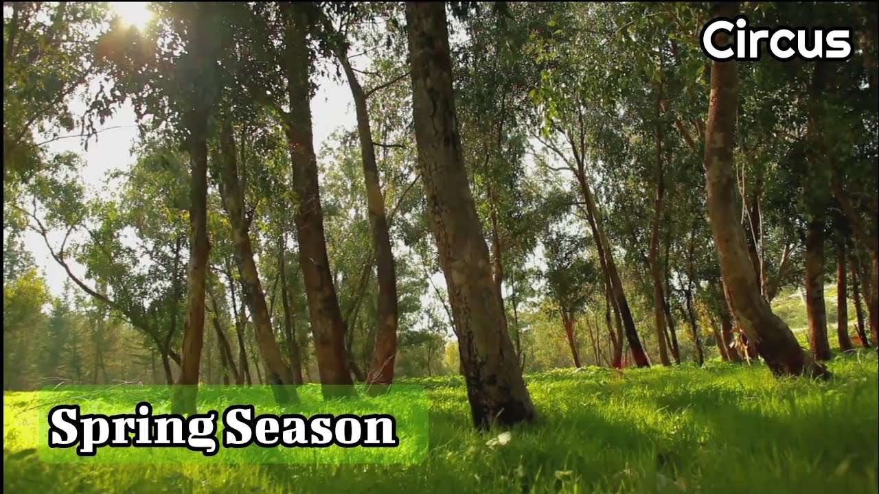 Spring Season - Music Video 