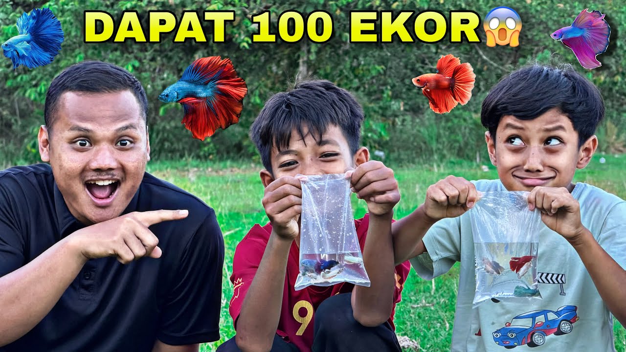 Ngabuburit berburu Ikan cupang bareng bocil