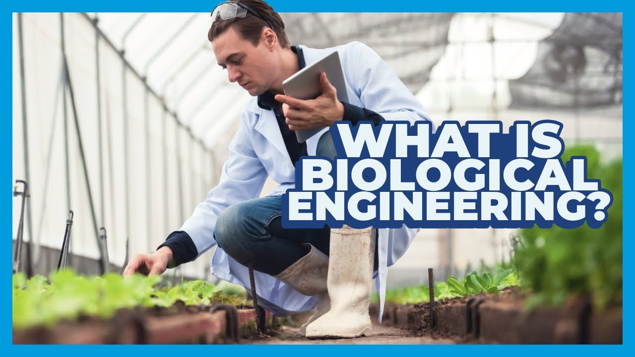 What is Biological Engineering? | The sustainable major solving food, water and energy challenges
