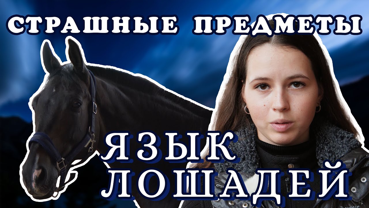 Язык лошадей. Страшные предметы.