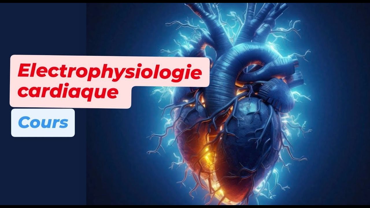 ELECTROPHYSIOLOGIE CARDIAQUE