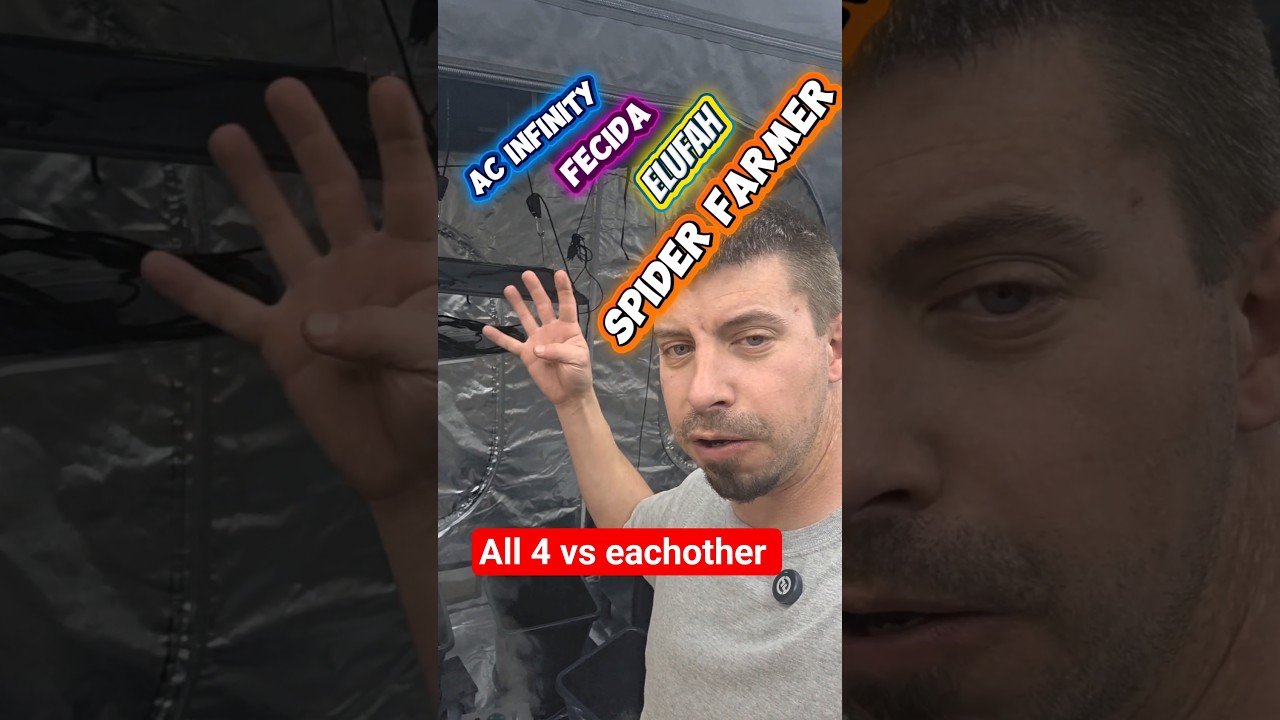 Сравнение 4 марок осветительных приборов.