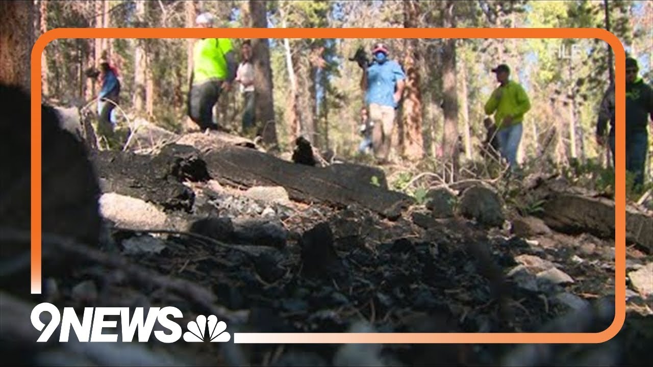 Suzanne Morphew's remains found after more than 3 years since her disappearance
