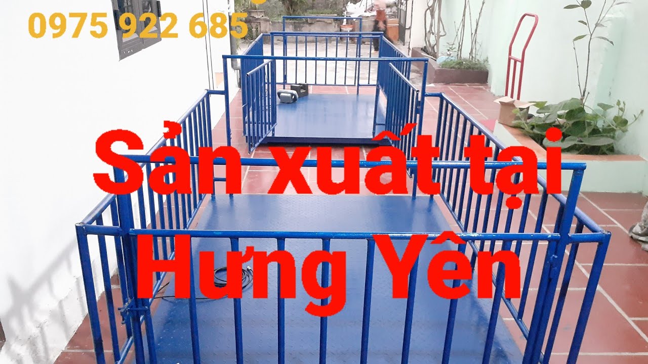 Cân Điện Tử | Cân Động Vật | Cân Lợn | Cân Heo - Có Lồng - 0975 922 685