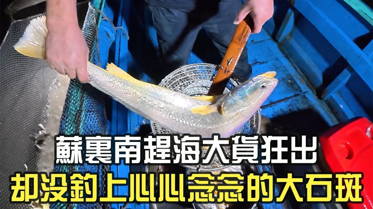 蘇裏南趕海大貨狂出，卻沒釣上心心念念的大石斑#阿牛愛捕魚#蘇裏南 #趕海 #捕魚 #網魚