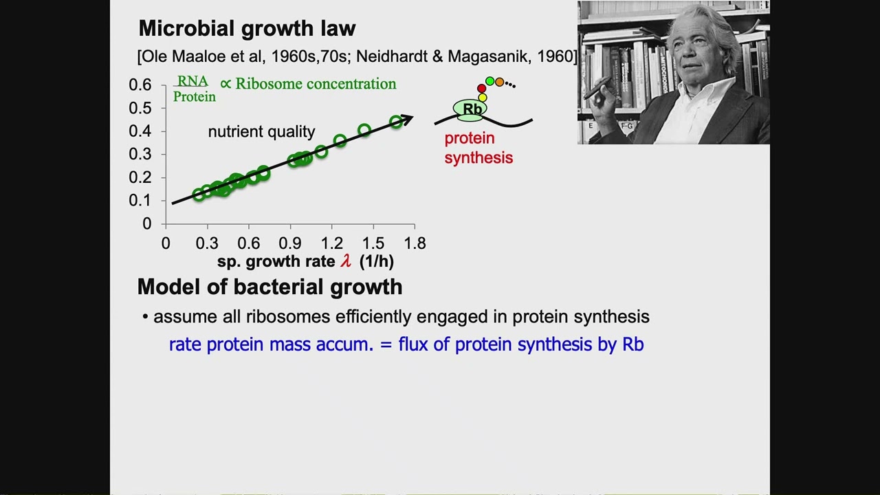 Growth-dependent proteome allocation in E. coli: from phenomena to control strategy and dynamics
