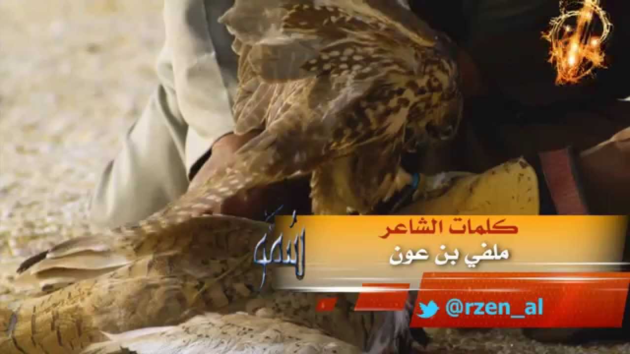 شيلة هدة الطير كلمات الشاعر ملفي بن عون أداء المنشد مشعل السامود