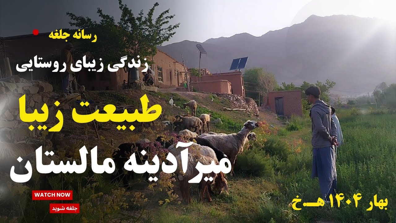 مالستان | طبیعت زیبا و دلنشین میرآدینه | آغیل سیاه زمین دهن بوم | بهار ۱۴۰۴ هـ خ