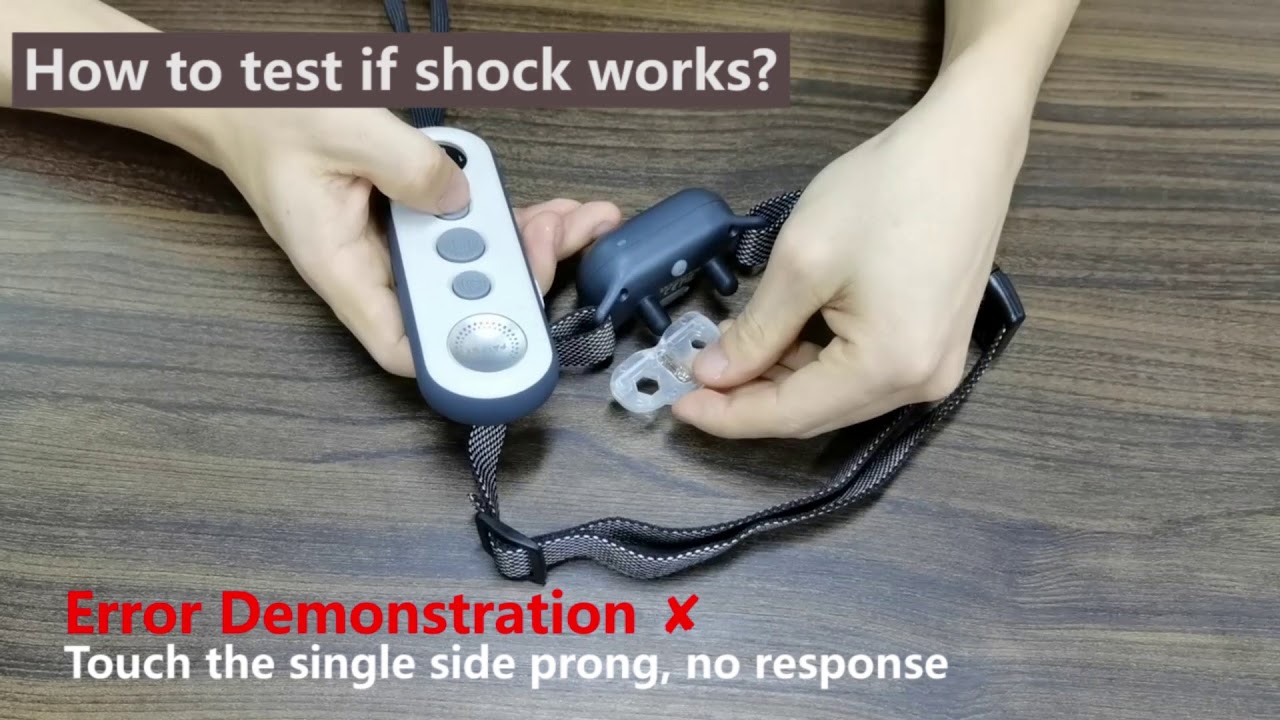 PATPET 680 | How to test if shock works?