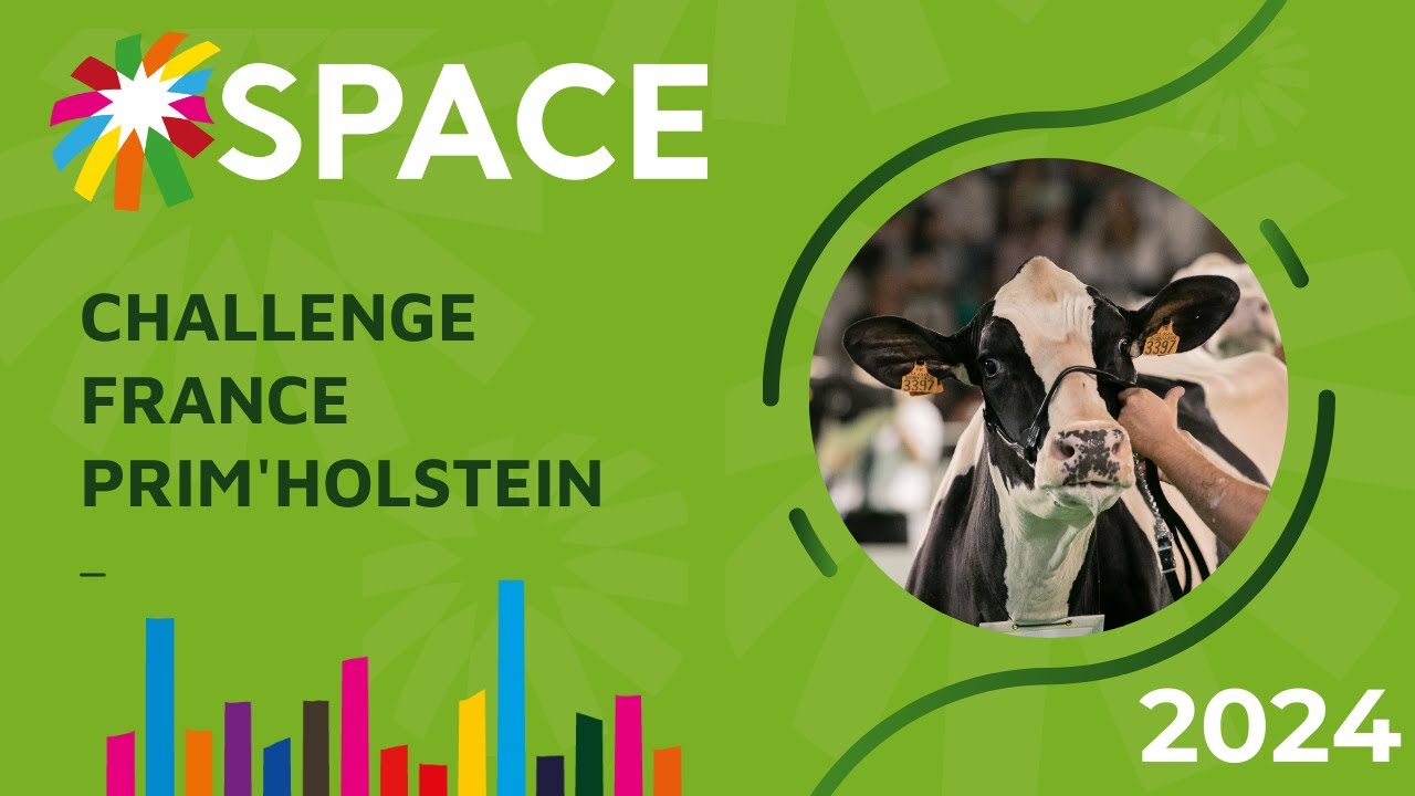 Challenge France Prim'Holstein
