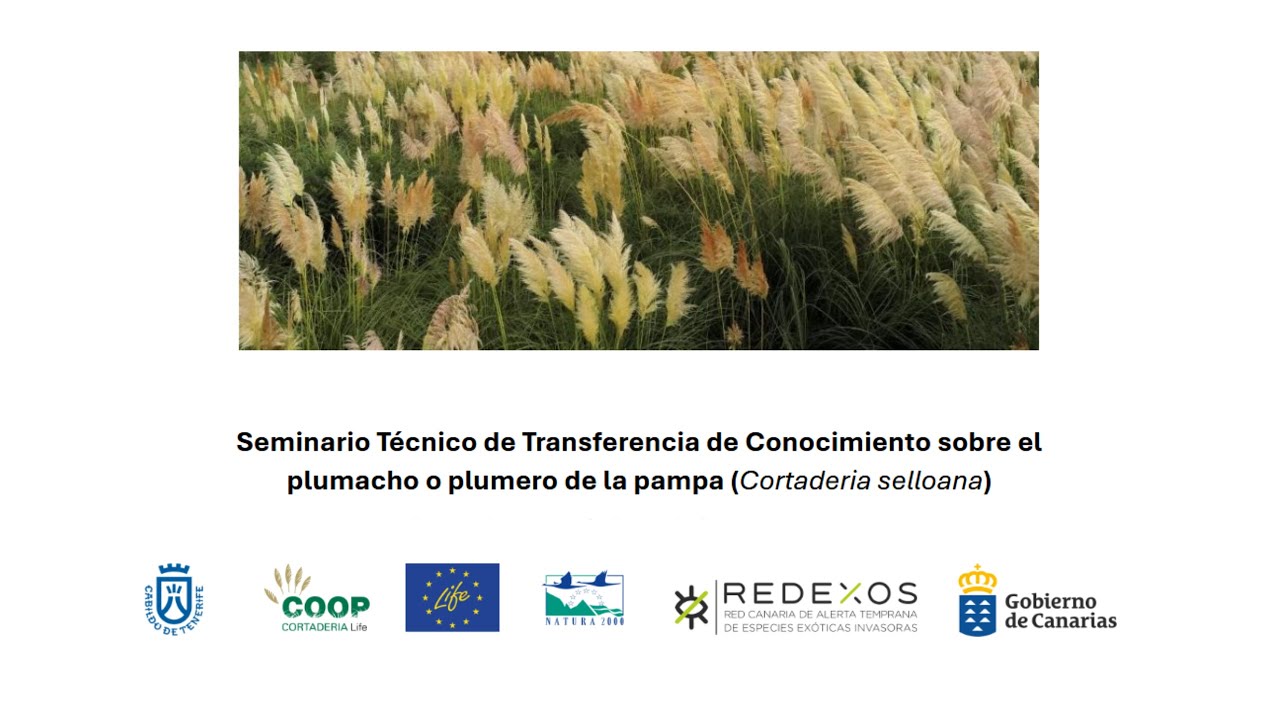 Seminario Técnico de Transferencia de Conocimiento en la Región Macaronésica
