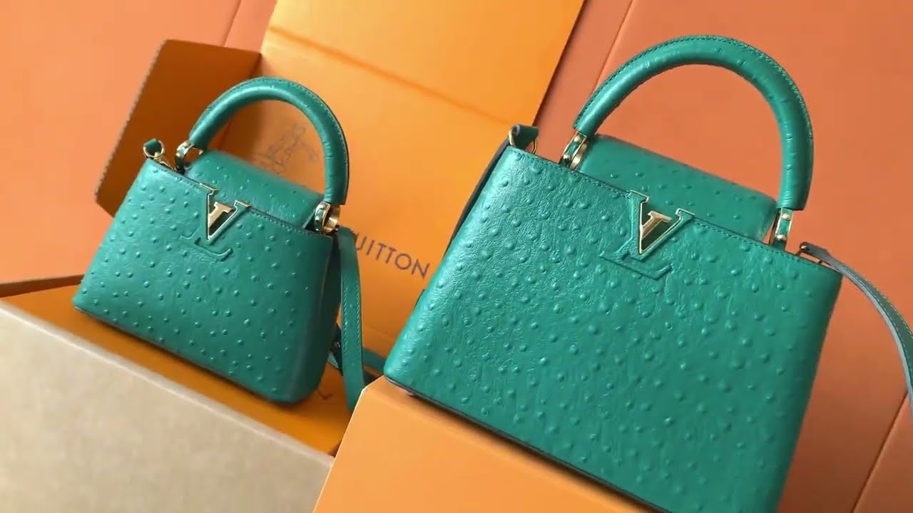 ACELUXS Bag Review | Elegant Design Meets Everyday Luxury#luxurybags #luxurybag #aceluxs