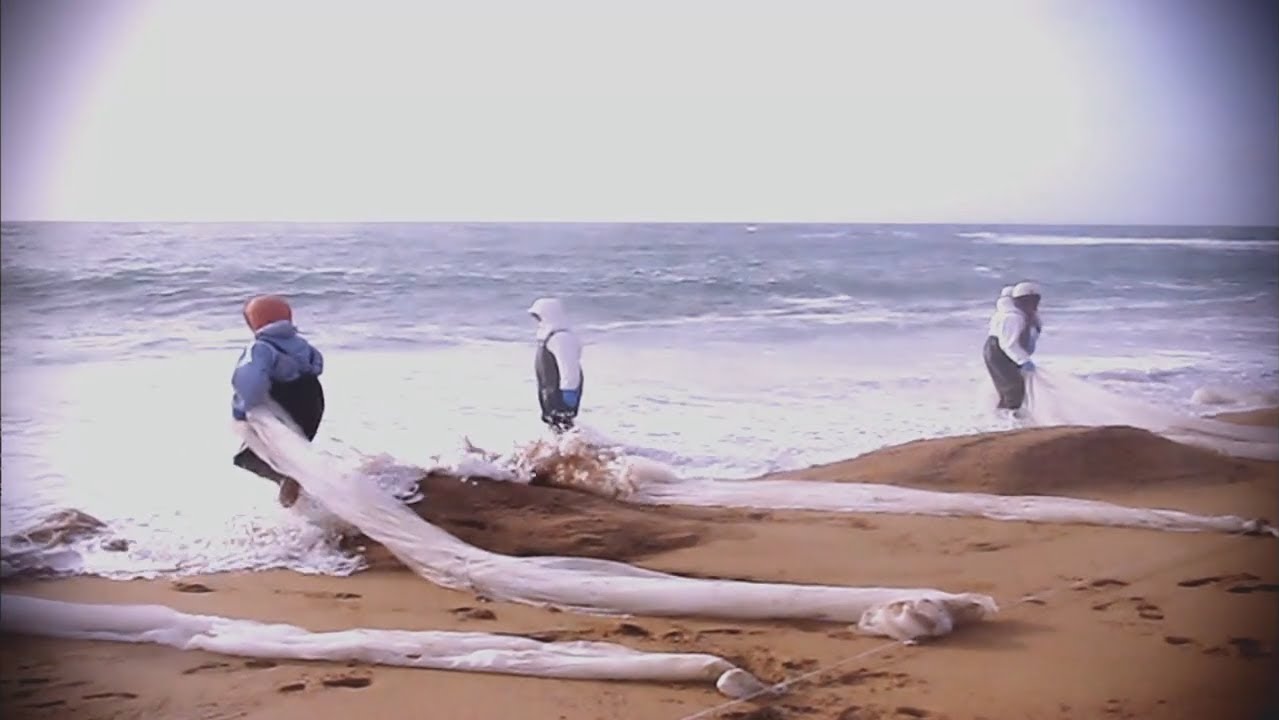 Response to Marine Oil Spills: Shoreline clean-up