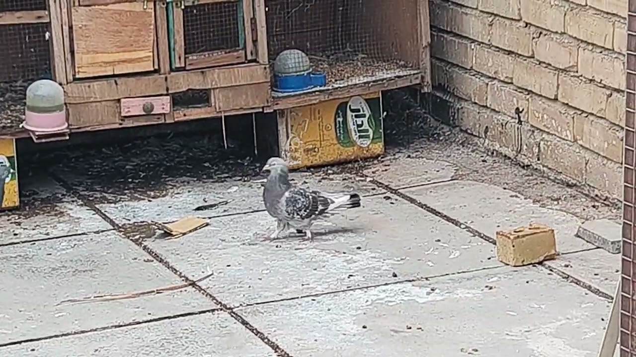 يوميات المساكي ايام الشتى 2021