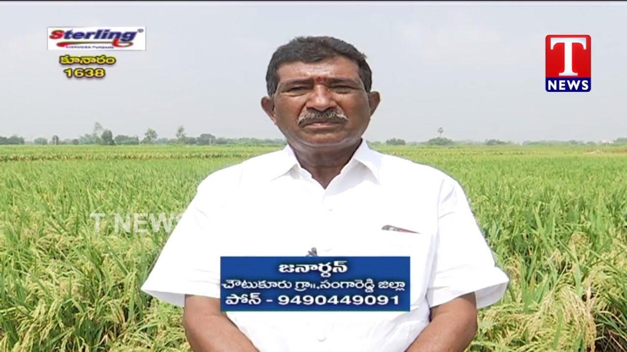KNM 1638 Paddy Cultivation by Janardhan | Choutukur Village | Chenu Chelaka | TNews Telugu