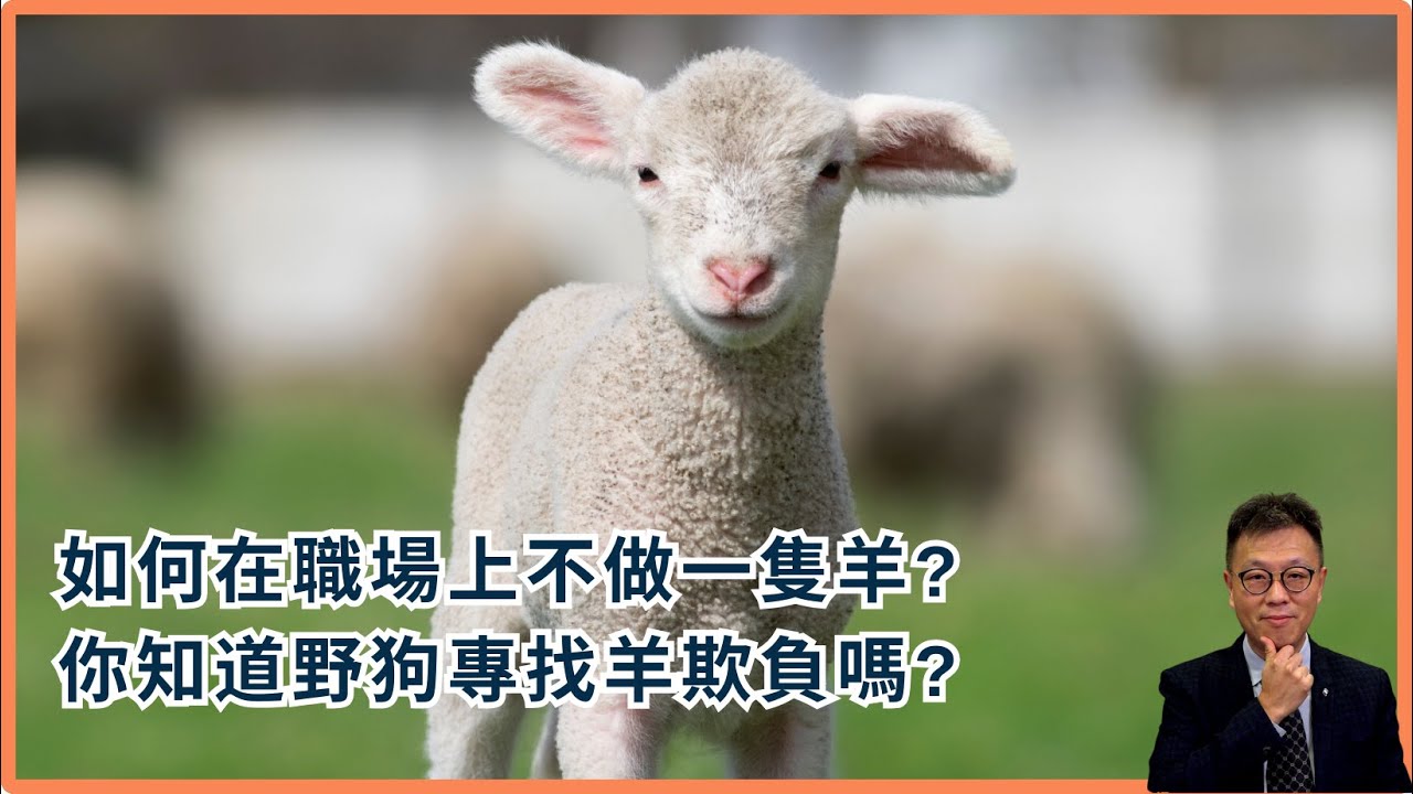 【辦公室政治】職場上為何不能做一隻羊？｜教你由羊變獅子的想法｜別人對你不好，你要比他更差