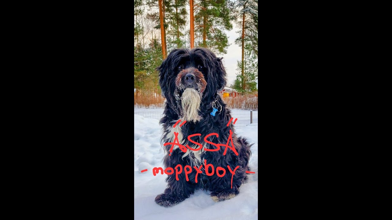 ÄSSÄ, meidän RITARI ÄSSÄ