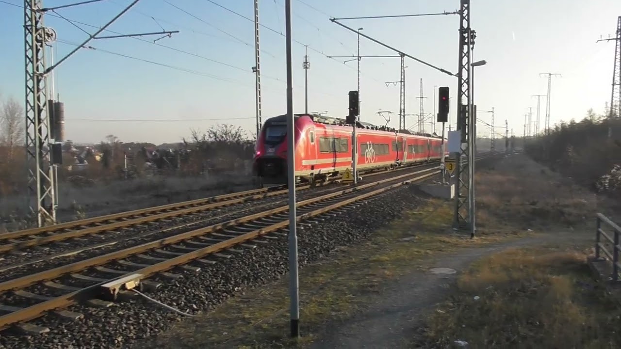 Zugverkehr Falkenberg(Elster) 21.01.2026