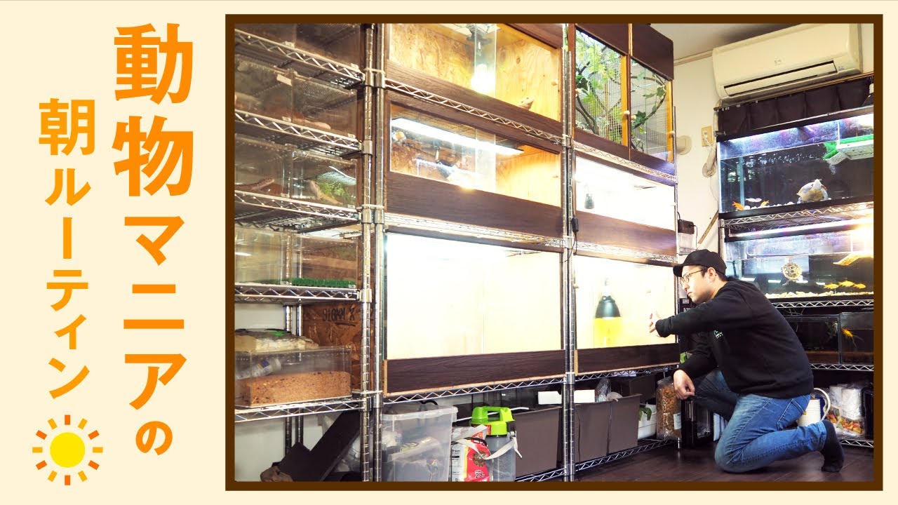 50匹以上の動物専用部屋。動物マニアのモーニングルーティン