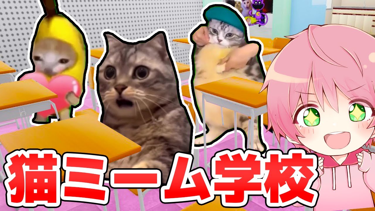 『猫ミーム』として生活するロブロックスが楽しすぎる！😺✨️