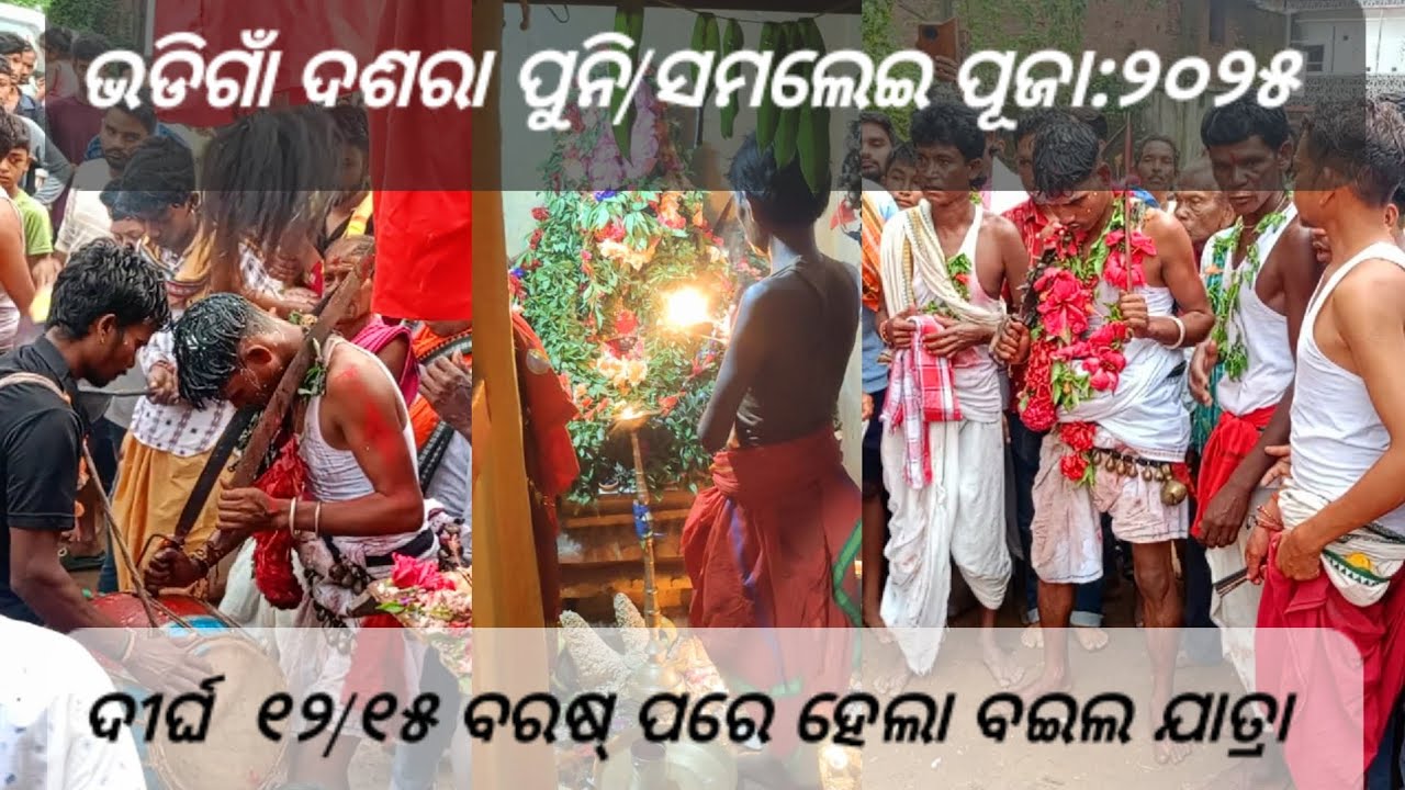 #ଭଡିଗାଁ ଦଶରା ପୁନି/ ସମଲେଇ ପୂଜା ୨୦୨୫//ଦୀର୍ଘ ୧୨/୧୫ ବରଷ୍ ପରେ ହେଲା ବଇଲ ଯାତ୍ରା#bhadigaon samaleipuja 2025